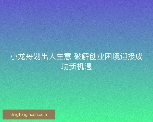 小龙舟划出大生意 破解创业困境迎接成功新机遇