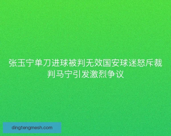 张玉宁单刀进球被判无效国安球迷怒斥裁判马宁引发激烈争议