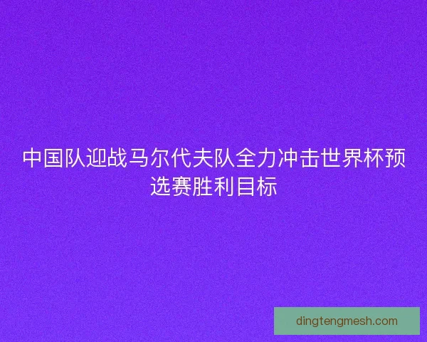 中国队迎战马尔代夫队全力冲击世界杯预选赛胜利目标
