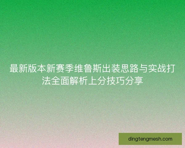 最新版本新赛季维鲁斯出装思路与实战打法全面解析上分技巧分享