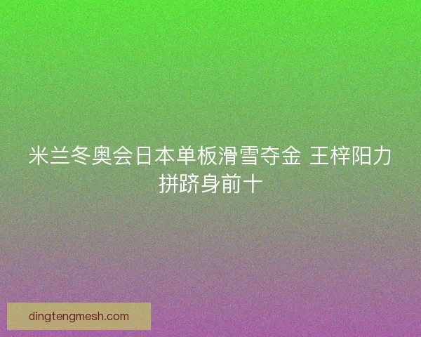 米兰冬奥会日本单板滑雪夺金 王梓阳力拼跻身前十