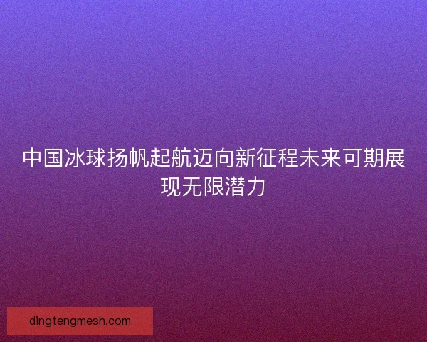 中国冰球扬帆起航迈向新征程未来可期展现无限潜力