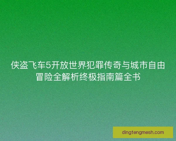 侠盗飞车5开放世界犯罪传奇与城市自由冒险全解析终极指南篇全书
