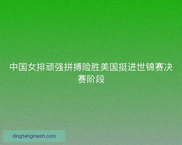 中国女排顽强拼搏险胜美国挺进世锦赛决赛阶段