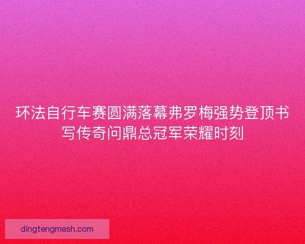 环法自行车赛圆满落幕弗罗梅强势登顶书写传奇问鼎总冠军荣耀时刻 环法自行车赛圆满落幕弗罗梅强势登顶书写传奇问鼎总冠军荣耀时刻